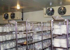建设-60℃超低温冷冻库的安装成本